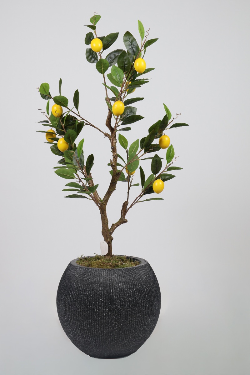 Premium Yapay Limon Ağacı 180cm küçük görsel